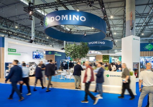 domino-6